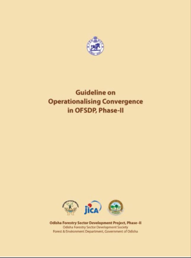 Guideline on Convergence